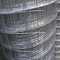 Electric Galvanized Welded Wire Mesh Fence Panel 1/2 Inch For Construction